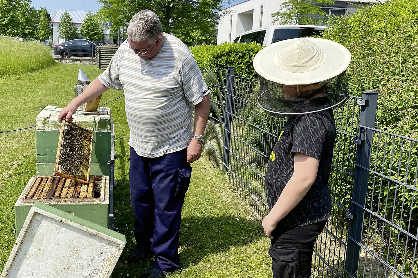Einfach summen: Wilke schenkt Bienenvölkern ein neues Zuhause