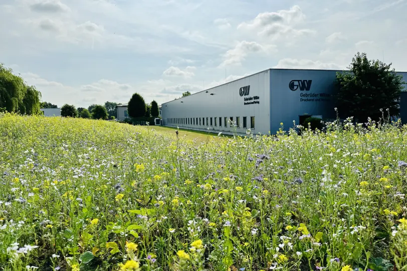 Summende Bienen, bunte Blüten und süßer Honig