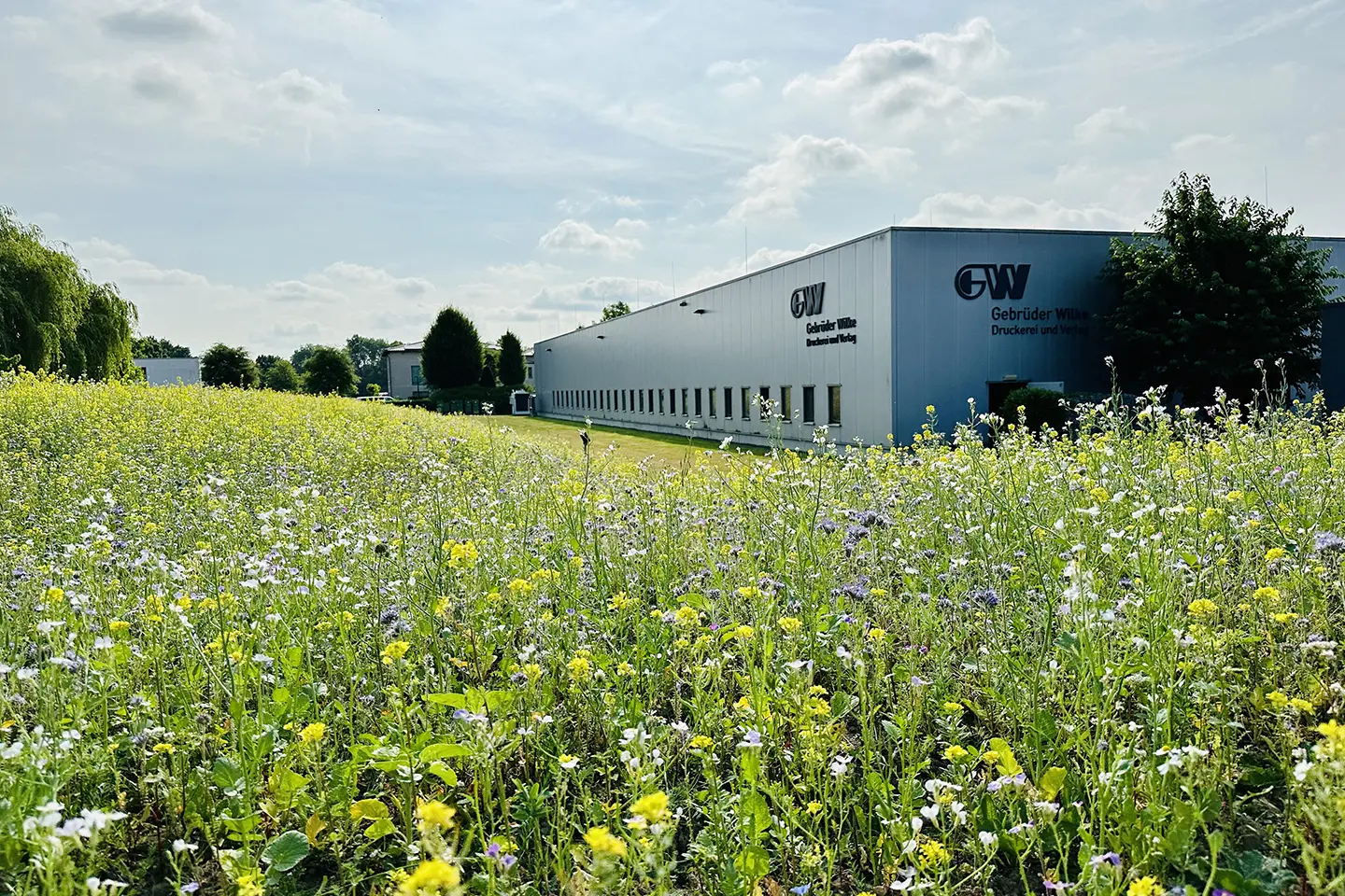 Summende Bienen, bunte Blüten und süßer Honig